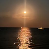 𝔅𝔲𝔷 𝔎𝔯